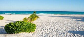 Sleeps 12 short walk to the best beach in Playa, Infiniti pool,  AC in all rooms