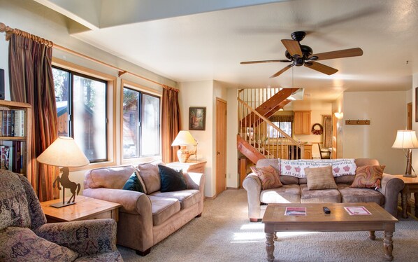 TV, fireplace, DVD player, books