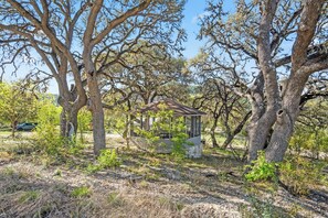 A rustic gazebo surrounded by trees in a natural setting.