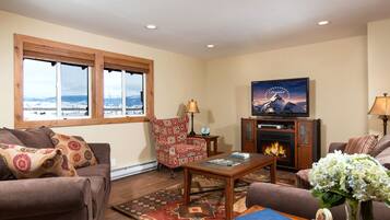 TV, fireplace, DVD player