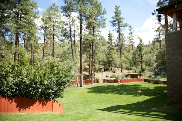 Large yard for various activities. i.e.; volleyball, kickball, wiffleball