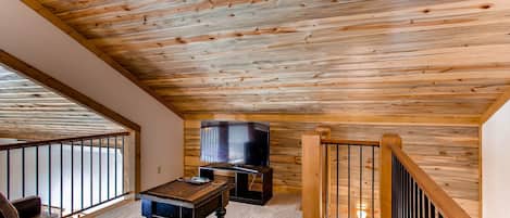 Télévision, cheminée, lecteur de DVD, livres