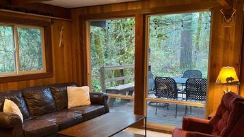 Smart TV, caminetto, libri, biblioteca musicale