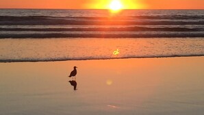 A beach scene with a bird standing on the sand near the water.