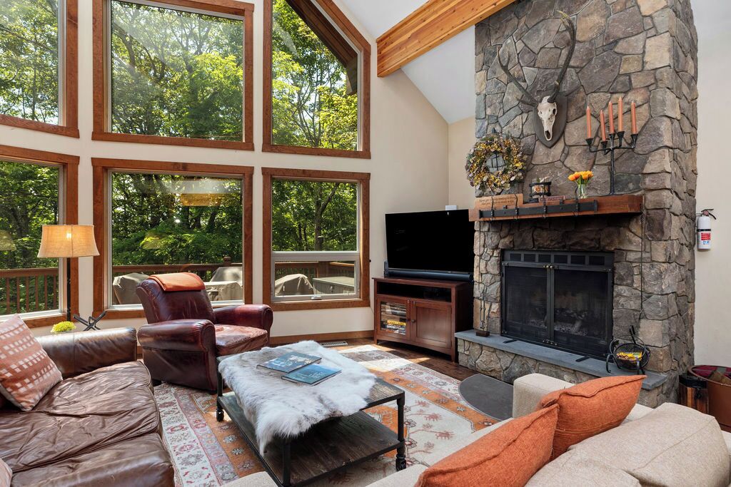 TV connectée, cheminée, jeux vidéo, lecteur de DVD