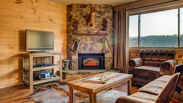 Televisión de pantalla plana, chimenea y reproductor de DVD