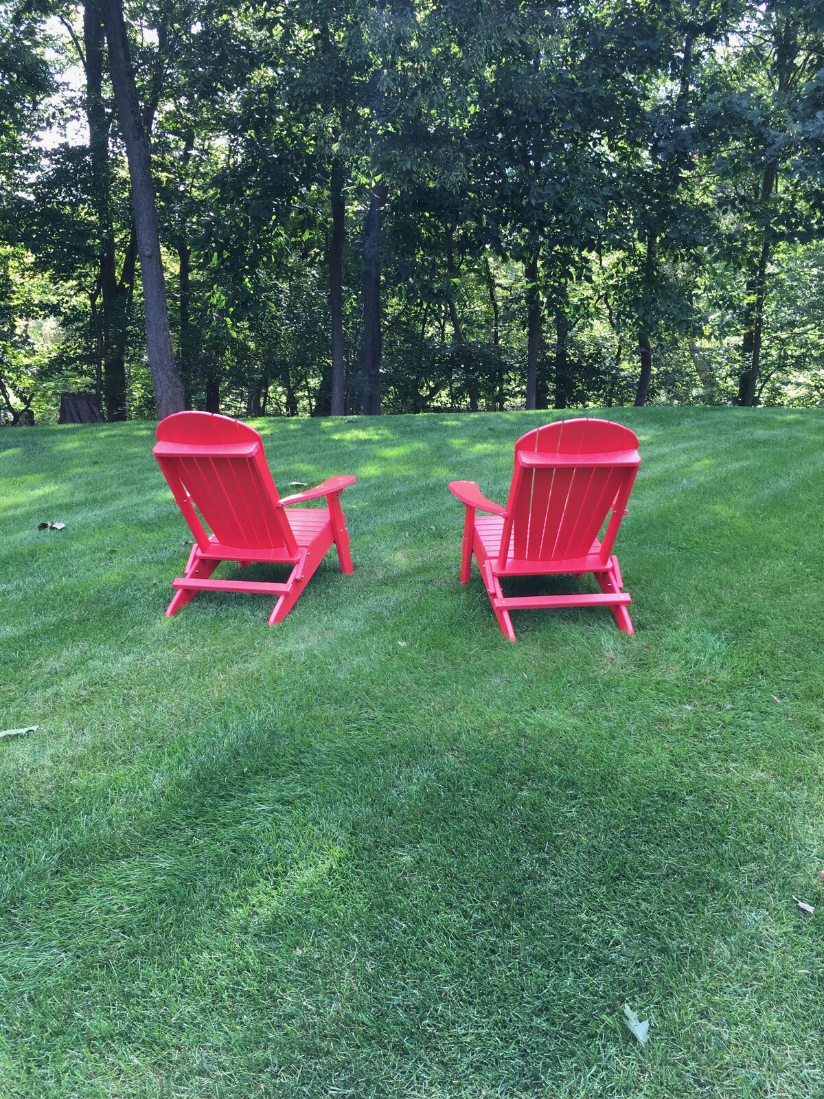 オーナーのプロフィール画像