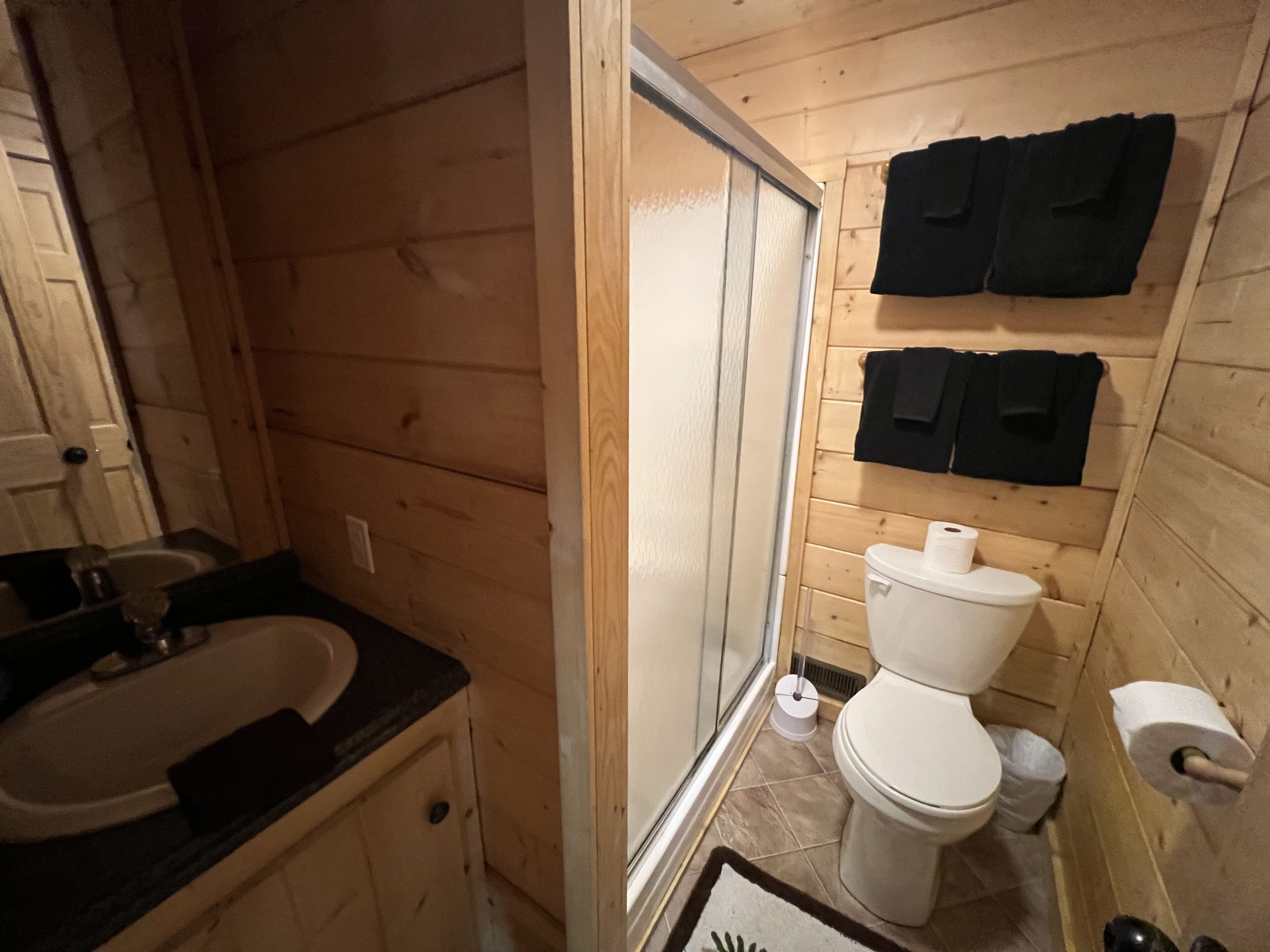 Shower, jetted tub, hair dryer, towels