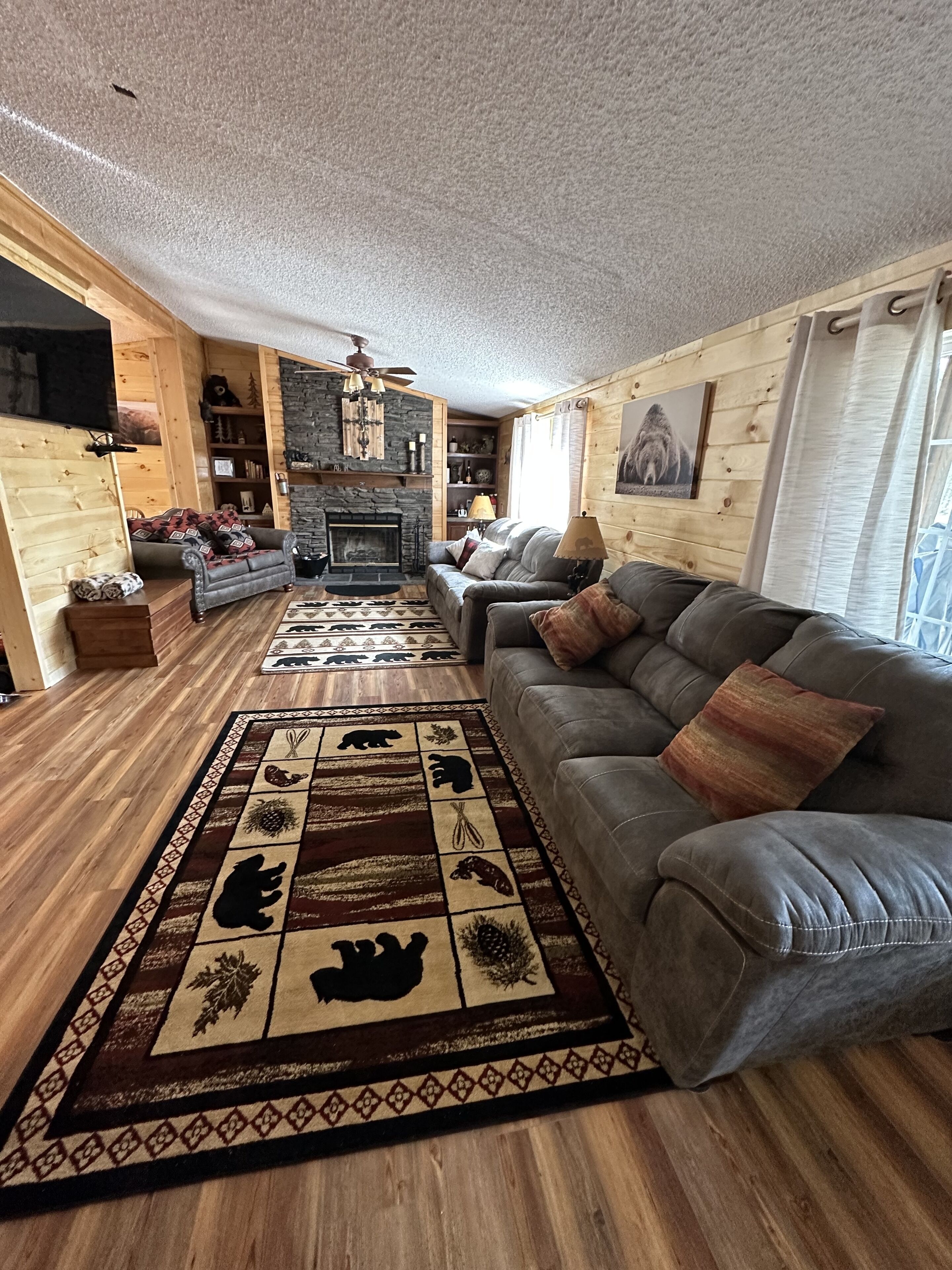 Smart TV, fireplace, books, stereo