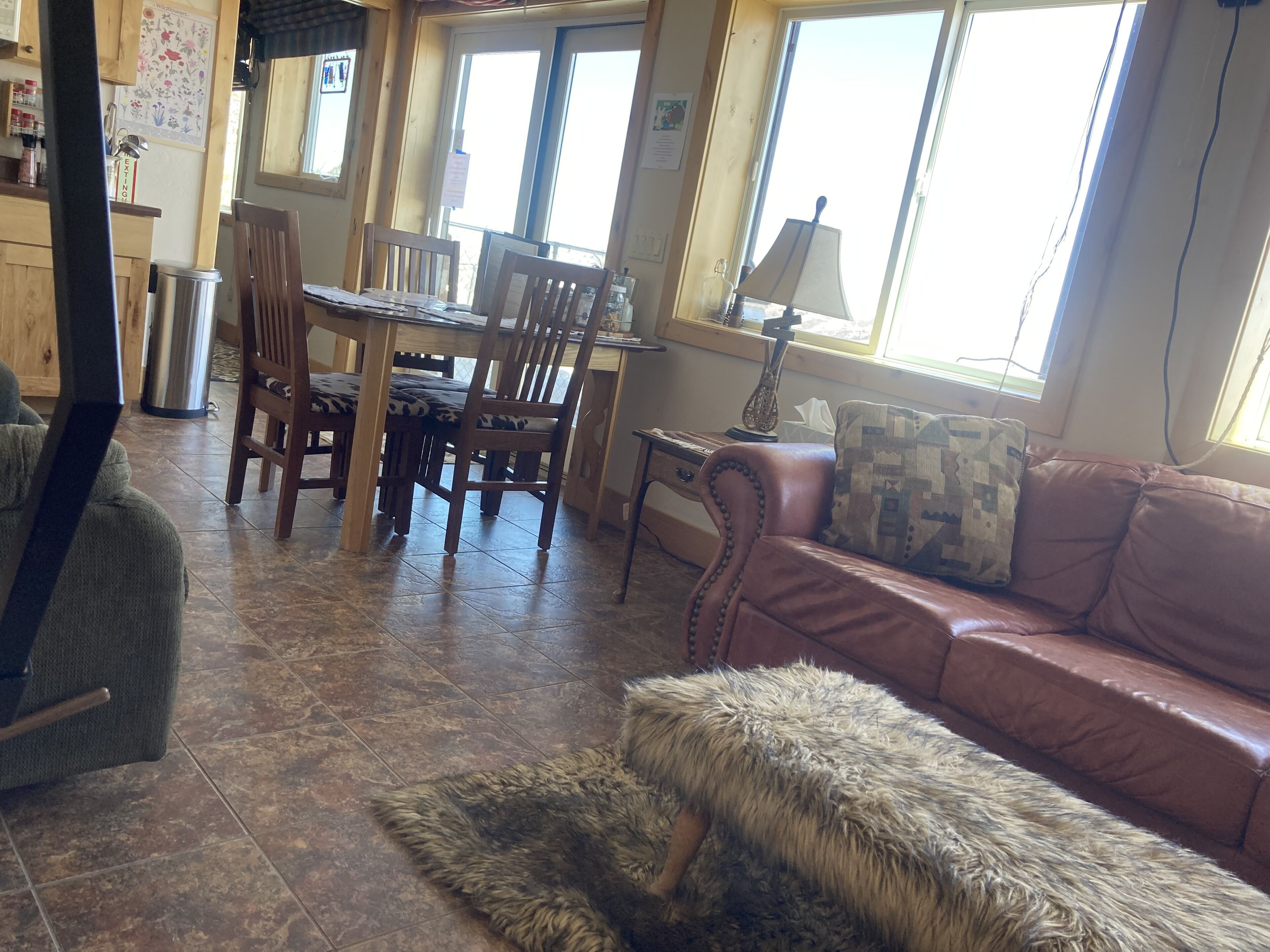 TV, fireplace, books, video library