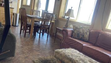 TV, fireplace, books, video library