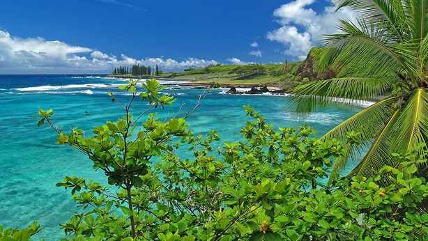 Une plage tropicale aux eaux turquoise et limpides, bordée de palmiers, avec une côte lointaine où se dressent des bâtiments.