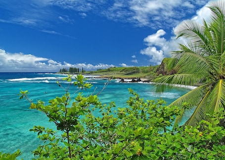 Pool. MINUTES TO HAMOA BEACH, BEST LOCATION IN HANA