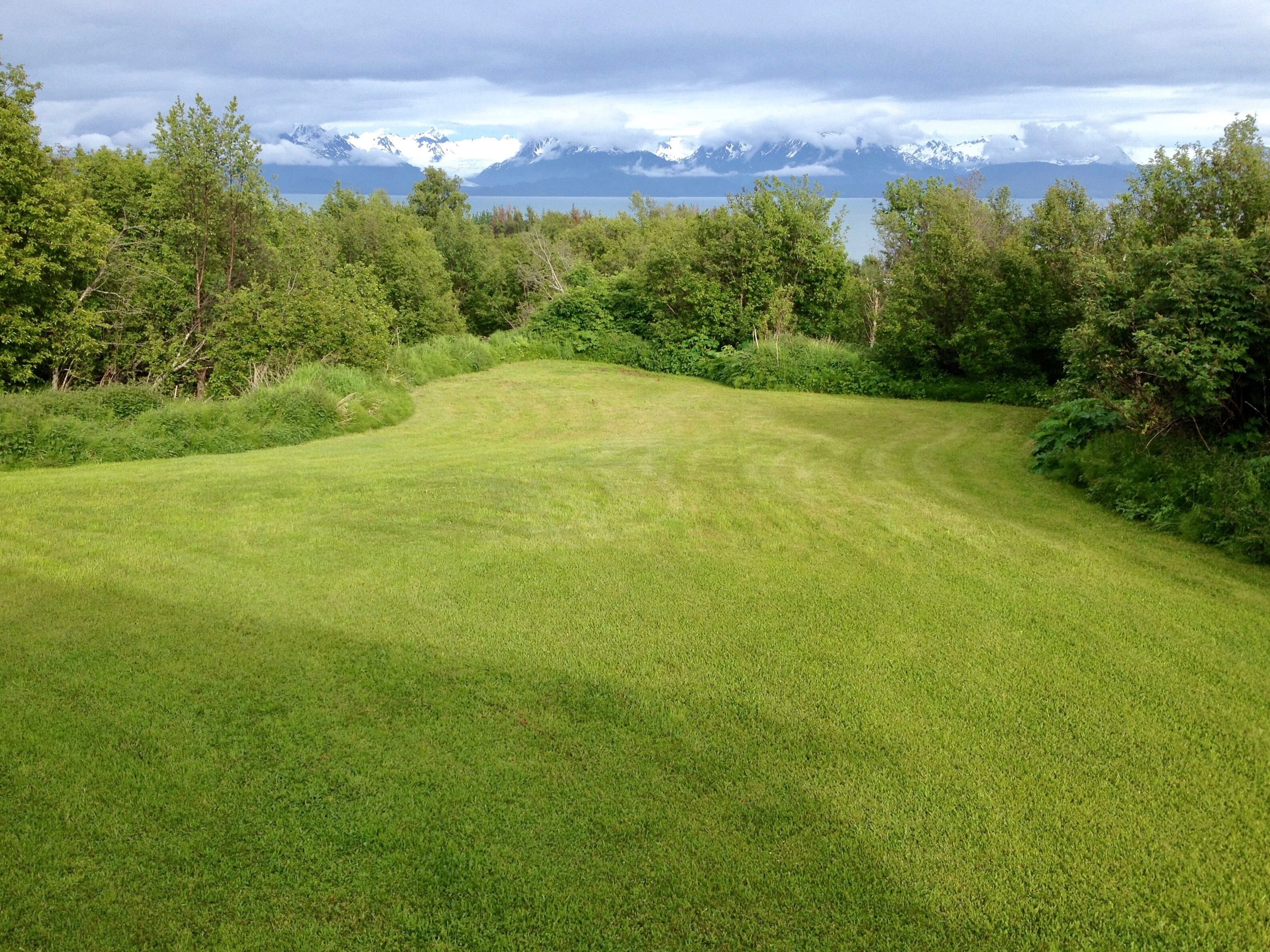 Lawn with view of Bay and glacier