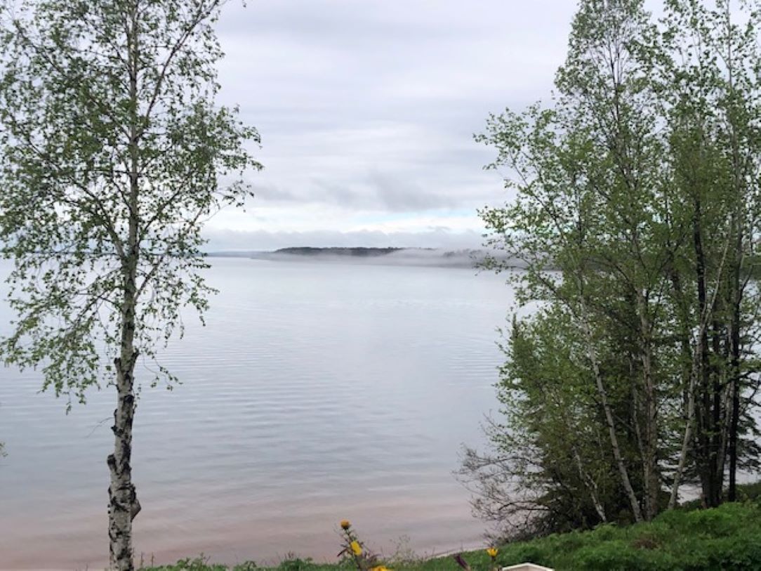 Un lago tranquilo con árboles en la orilla.