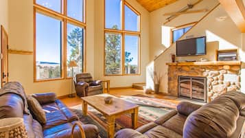 TV connectée, cheminée, lecteur de DVD, livres