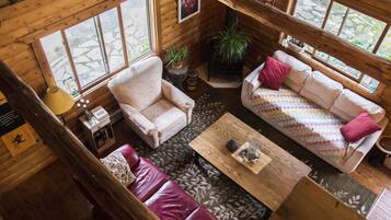 Smart TV, fireplace, books, music library