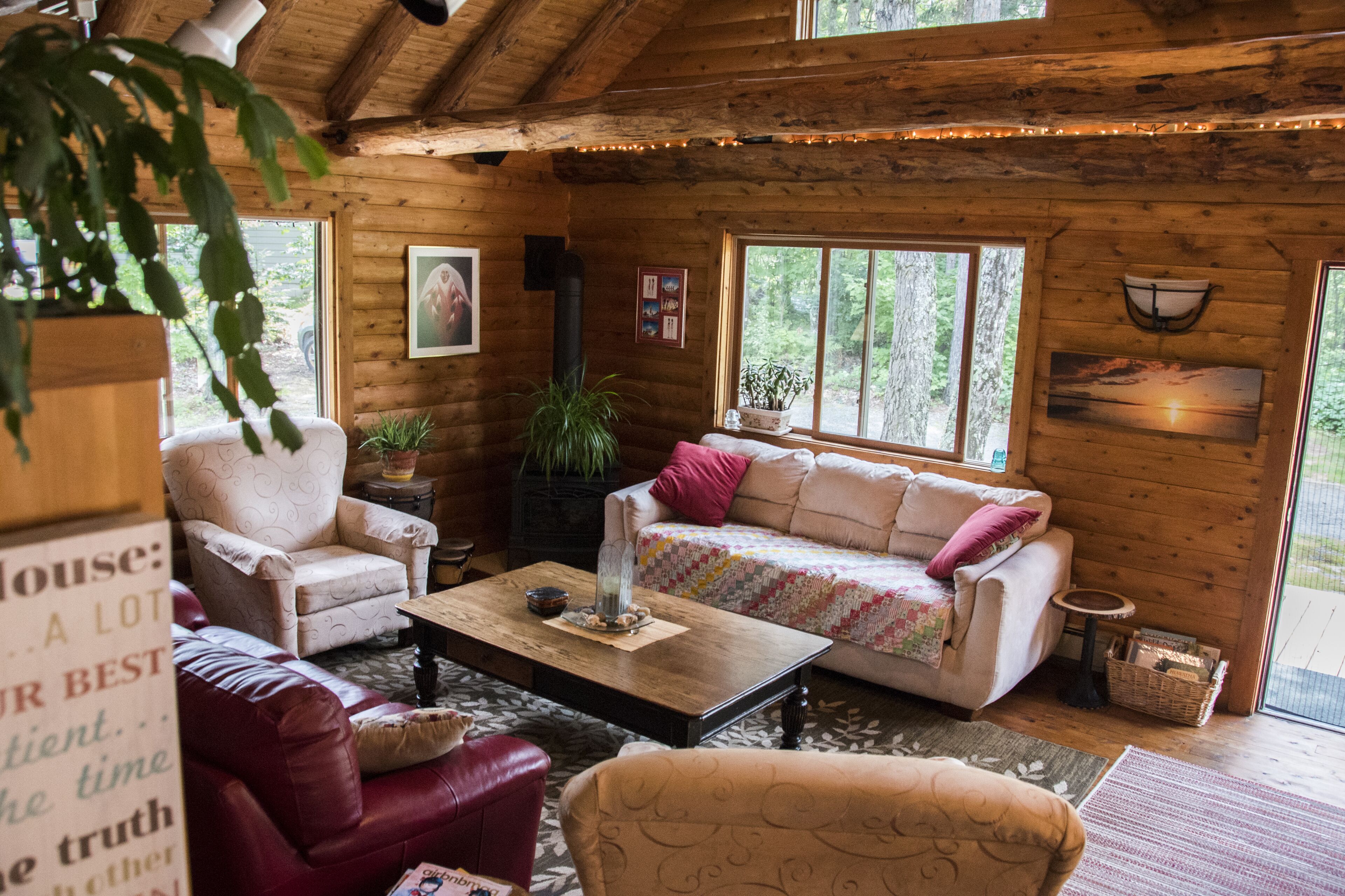 TV connectée, cheminée, livres, médiathèque