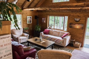 Smart TV, fireplace, books, music library