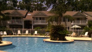 A swimming pool with lounge chairs and a palm tree, surrounded by a fence.