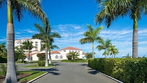 A road leading to a building with a red roof, surrounded by palm trees and a clear blue sky.