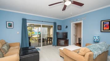 Smart TV, DVD player, books, video library