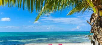 7th night free, Mi Casa, Su Casa, Beachfront