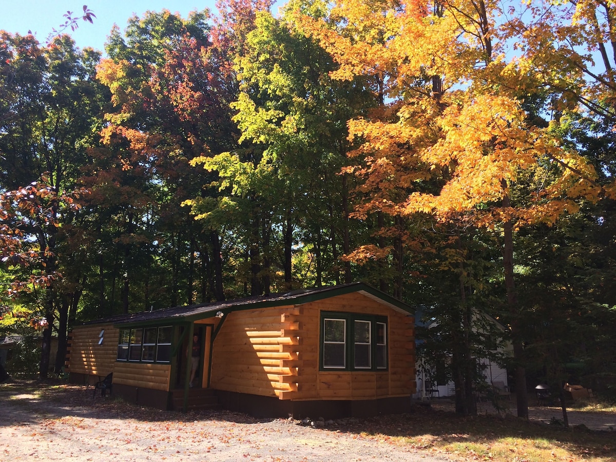 Image de profil de lâhĂŽte