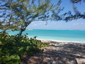 A beach with clear turquoise water, a sandy shore, and dense green foliage.