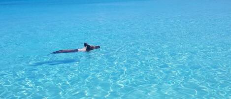 A clear blue sea with a person swimming.