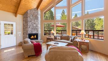 TV connectée, cheminée, lecteur de DVD, livres