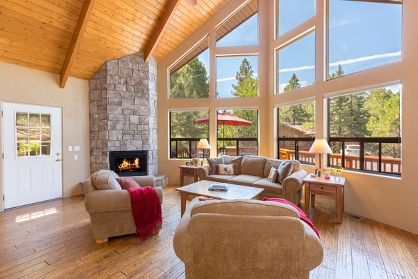 Smart TV, fireplace, DVD player, books
