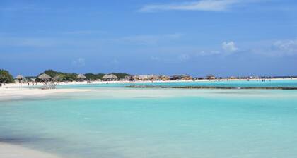 EAGLE BEACH - OCEAN FRONT LUXURY CONDO - AMAZING VIEWS!