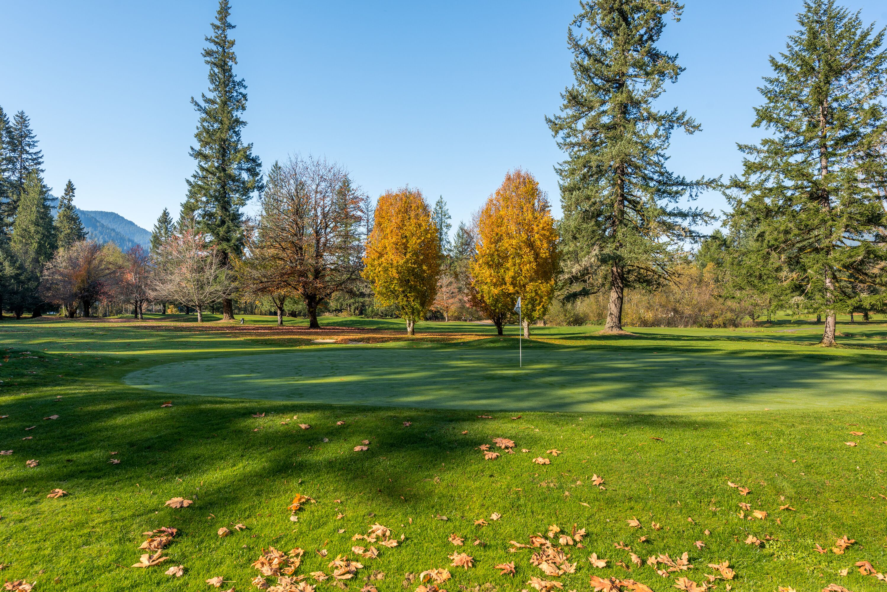 Un parcours de golf avec un ciel dégagé, de l’herbe verte et des arbres aux couleurs automnales.