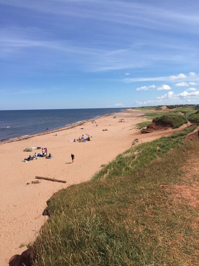 La nueva cabaña 'Sweet Pea Place' te espera en Thunder Cove