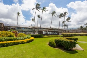 Property grounds - Spacious 1 Bedrm Unit. Stunning Ocean View, in South Kihei, Maui.  (Kihei)