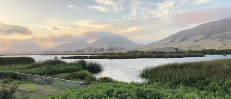 Un río rodeado de vegetación y montañas al fondo.