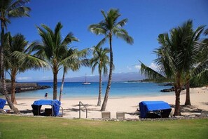 A beach with palm trees, a clear blue sky, and a boat in the distance.