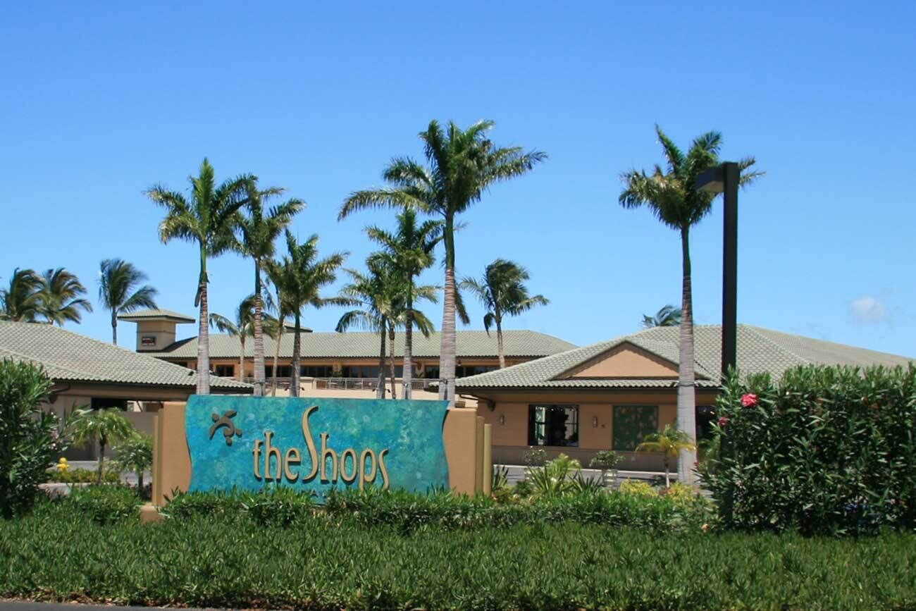 A building with a sign that reads "the Shops" surrounded by palm trees.