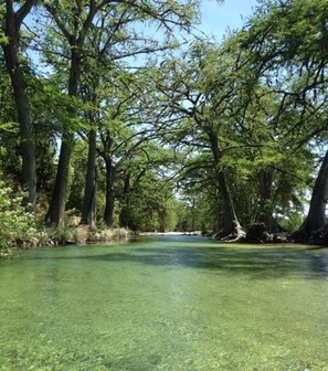 A river surrounded by dense trees. - RIVER IS YOUR BACKYARD! (Leakey)