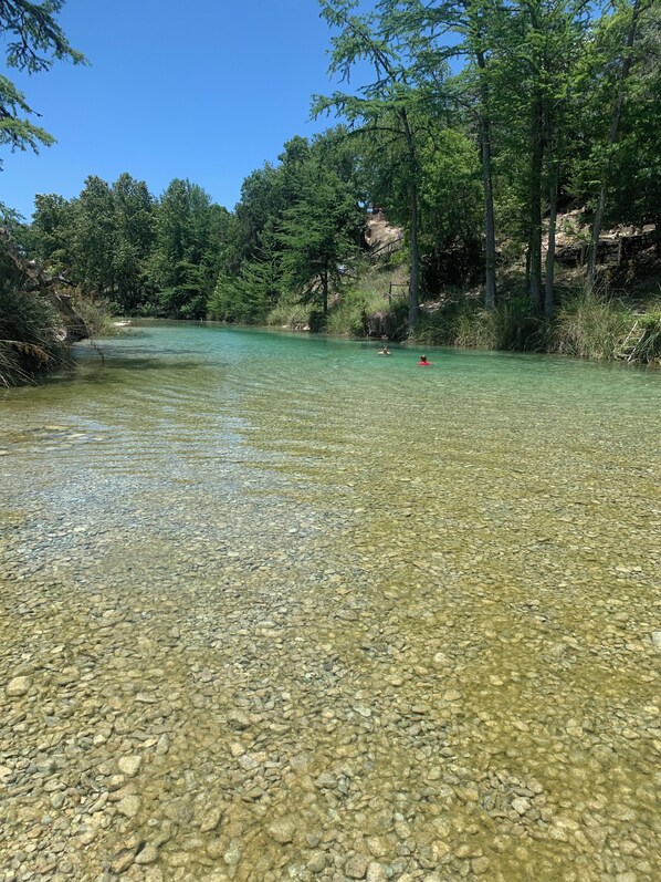 A clear river with visible pebbles and surrounded by dense green trees. - RIVER IS YOUR BACKYARD! (Leakey)