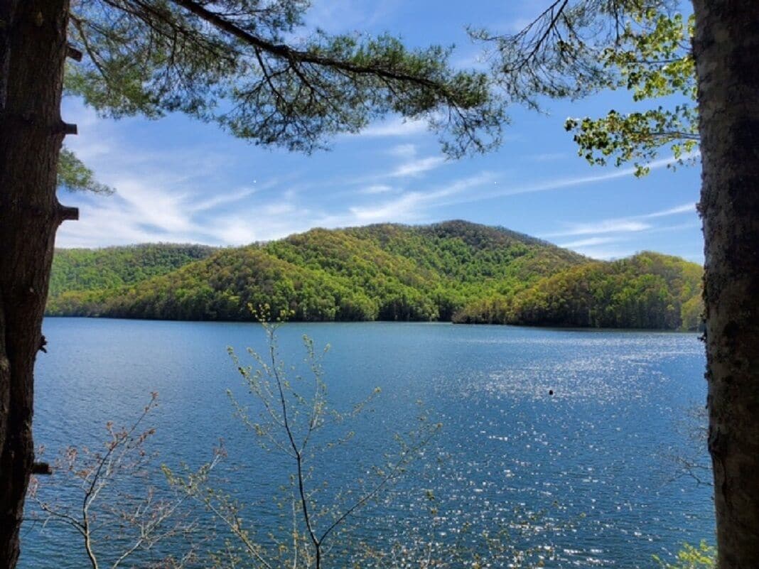 Beautiful Lake Nantahala Home-Lakefront with Amazing Views-Private Dock+Boat