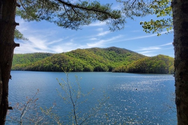 View from Deck