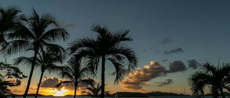 A sunset over a calm sea with palm trees silhouetted against the sky.
