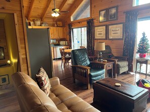 Smart TV, fireplace, DVD player, stereo - Honey Lodge, Mtn View, Master Main, Dogs Welcome  (Hiawassee)