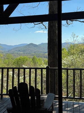 Property grounds - Last-minute discounts! Honey Lodge, Beautiful Mtn View, Master Main Town 1 Mile (Hiawassee)