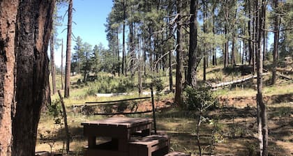 Privacy! One & 1/2 acre with wrap around deck. Backs the National Forest.