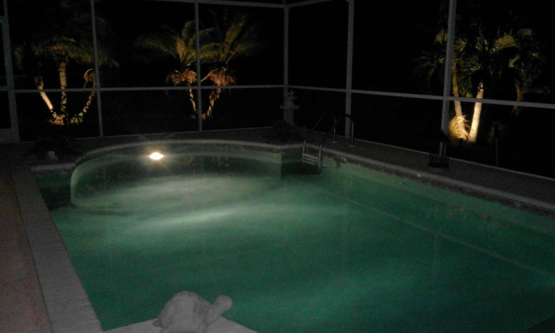 A swimming pool at night with a clear water surface, surrounded by a fence and palm trees.