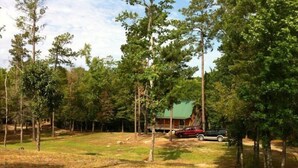 A cabin with a green roof surrounded by trees and a grassy area.