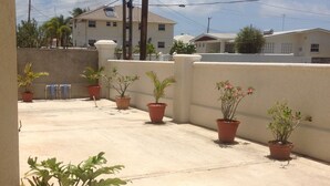 Terraço no telhado com plantas em vasos e vista para edifícios residenciais ao fundo.